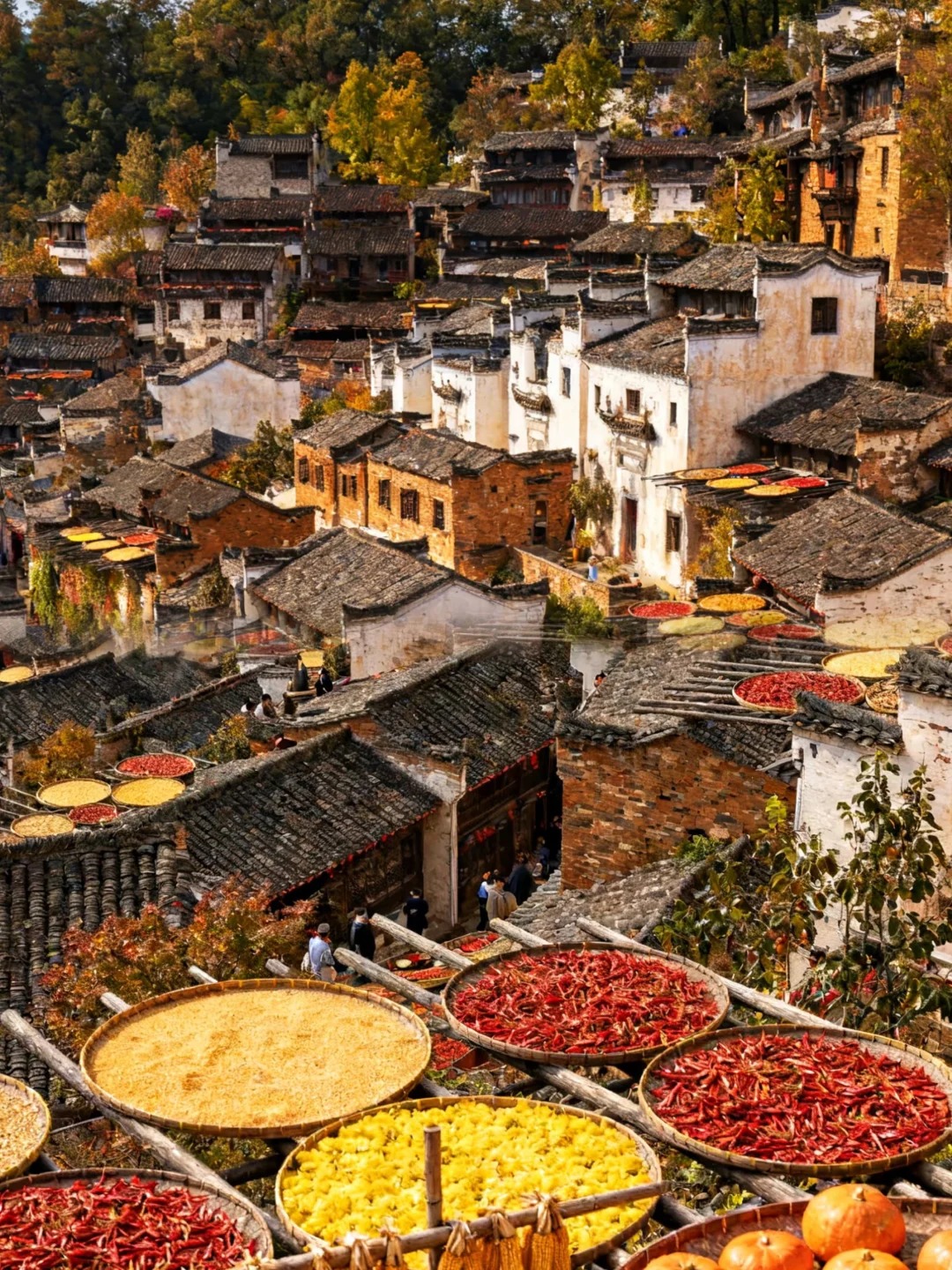 篁岭，把日子过成诗_2_不见虞美人_江西婺源-来自52tours 我爱旅游网